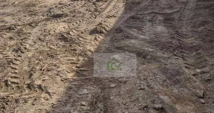 Terreno para alugar, 900 m² por r$ 3.000,00/mês - praia das palmeiras - caraguatatuba/sp