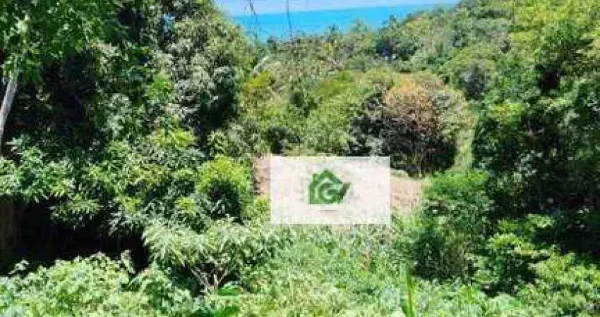 Terreno à venda, 983 m² por r$ 900.000,00 - siriúba - ilhabela/sp