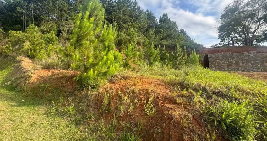Terreno em condomínio fechado à venda na Rua Rodrigo Rampinelli Jeremias, Itacorubi, Florianópolis