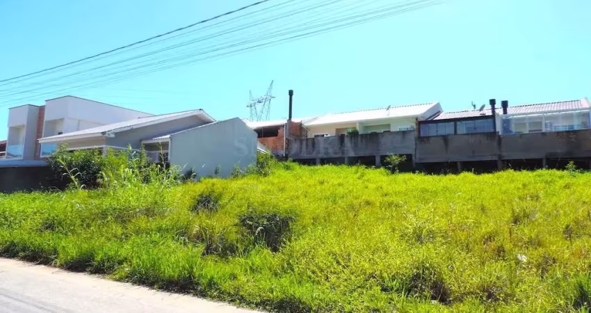 Terreno em condomínio fechado à venda na Rua Maria Basílio, Bela Vista, Palhoça