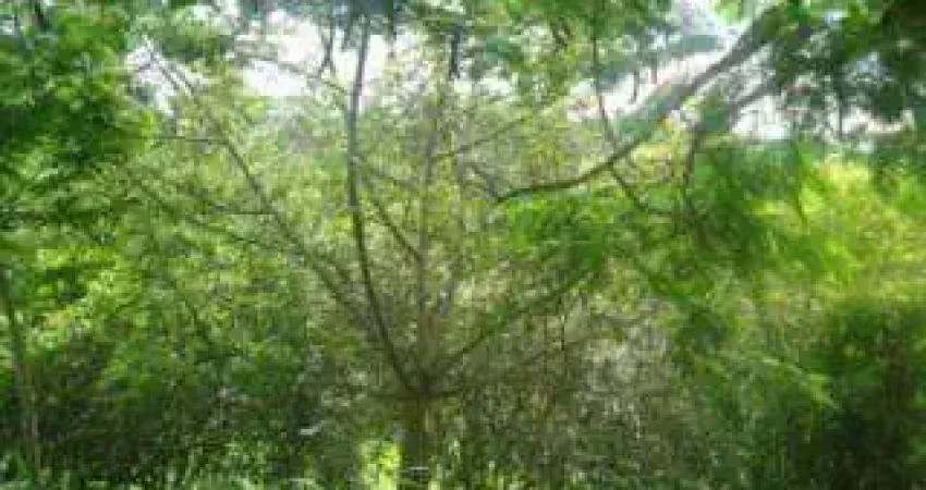 Terreno em condomínio fechado à venda na Rua Cataldo Bove, s/n, Colinas do Ermitage (Sousas), Campinas