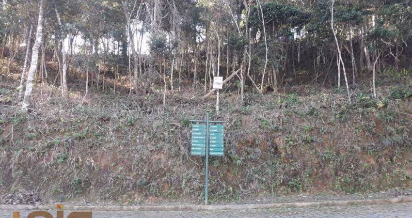 Terreno à venda, 400 m² por R$ 150.000,00 - Vargem Grande - Teresópolis/RJ