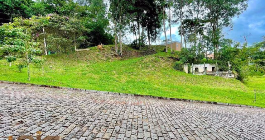 Terreno à venda, 499 m² por R$ 165.000,00 - Vargem Grande - Teresópolis/RJ