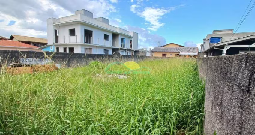 Terreno plano e murado de 360m² (12X30) com zoneamento ARM-3.5 no Alto Ribeirão - Ribeirão da Ilha,