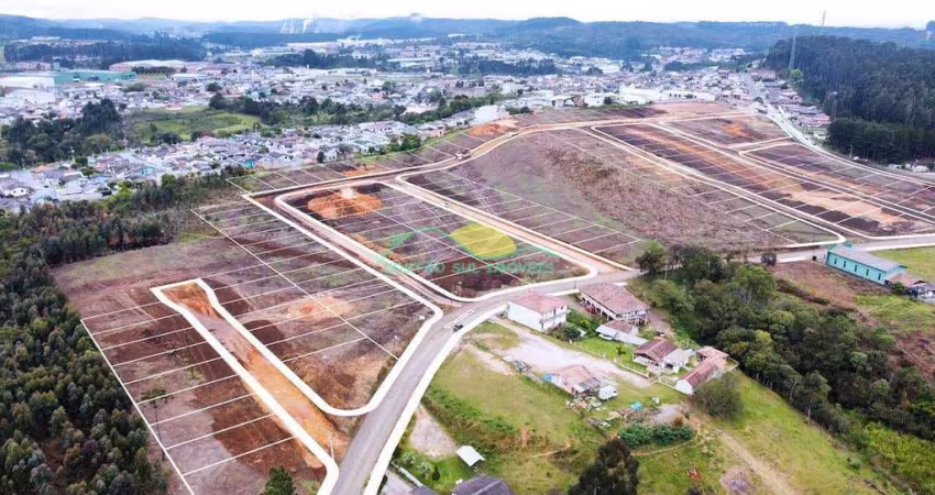 Terreno à venda  no Loteamento Jardim das Acácias, Industrial Norte, Rio Negrinho, Santa Catarina