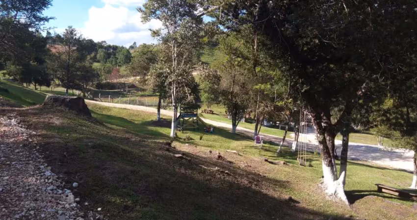 Chácara / sítio à venda na Rua Coronel Monteiro, Roseira, Campina Grande do Sul