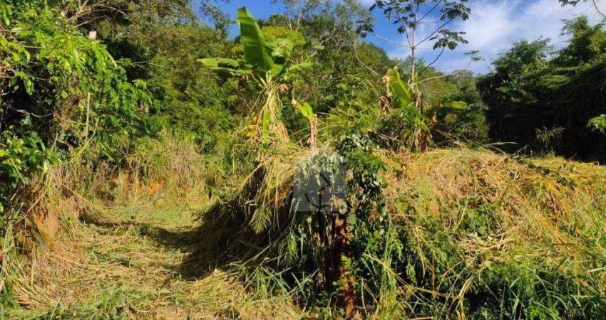 Terreno à venda, 600 m² por R$ 90.000,00 - Marquês de Maricá - Maricá/RJ