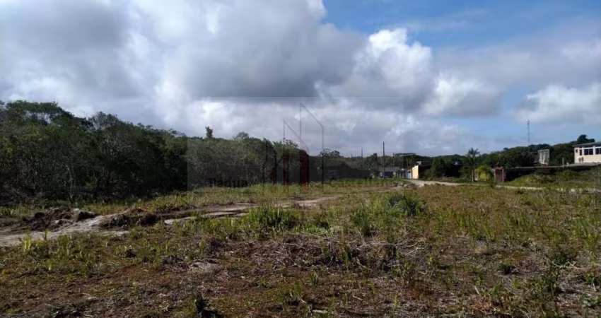 Terreno para Venda em Itanhaem, Tupy