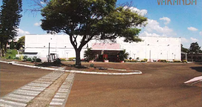 Galpão industrial/comercial à venda, à 200m da Rod. Anhanguera, Campinas.