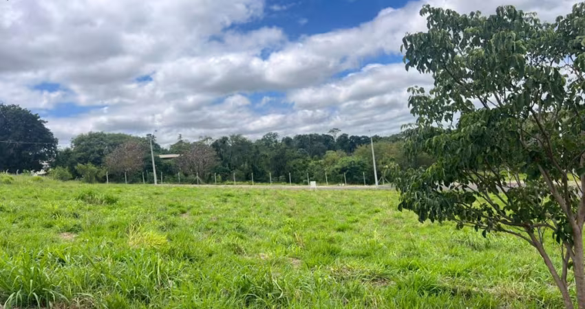 NOVO HORIZONTE
