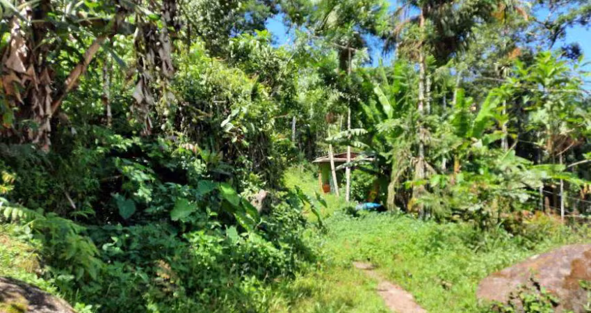 Chácara / sítio com 4 quartos à venda na RODOVIA PARATY CUNHA, 355, Penha, Paraty