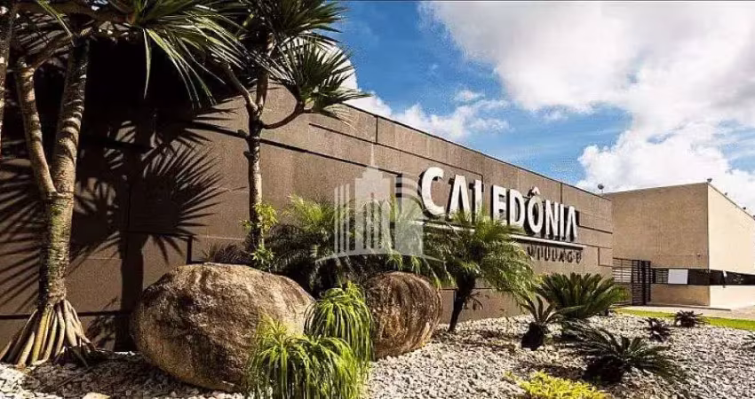 Terreno à venda no Santa Regina, Camboriú 