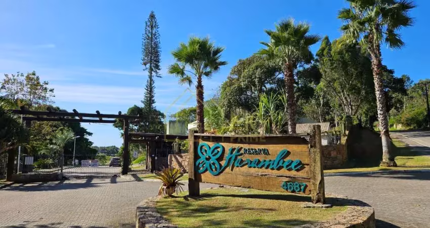 Terreno em Condomínio no Ratones em Florianópolis