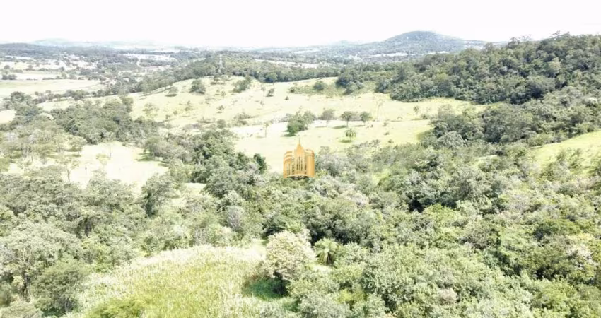 Fazenda Caio Martins ? 34,5 ha com Casa e Estrutura Completa