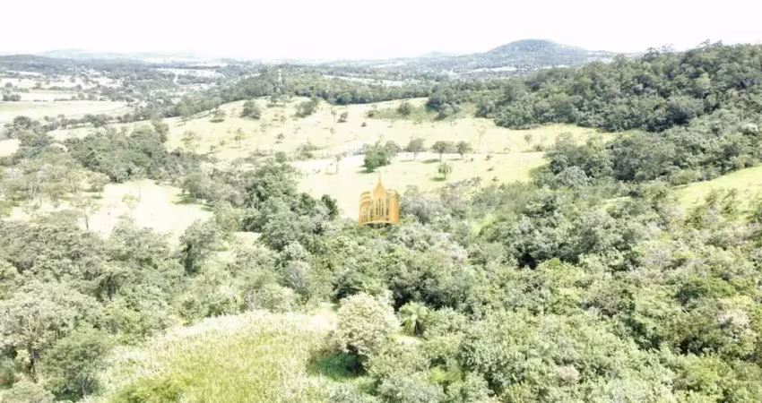Fazenda caio martins ? 34,5 ha com casa e estrutura completa