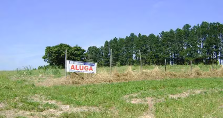 Terreno comercial para alugar na Rua Comendador Hermelino Matarazzo até 780/781, ao lado da empresa Toyota - 0, s/n, Vila Santa Rita, Sorocaba