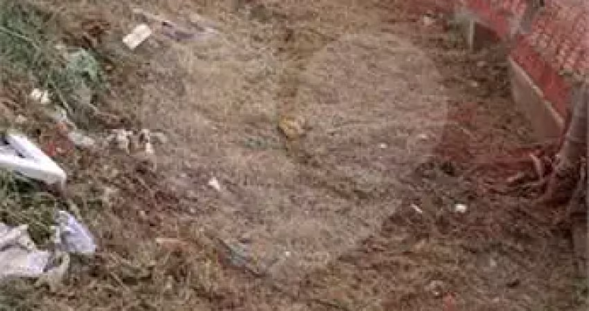 Terreno à venda, 150 m² por r$ 105.000,00 - jardim petrópolis - bauru/sp