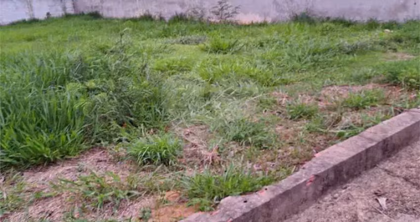 Terreno residencial à venda, quinta ranieri, bauru - te0146.