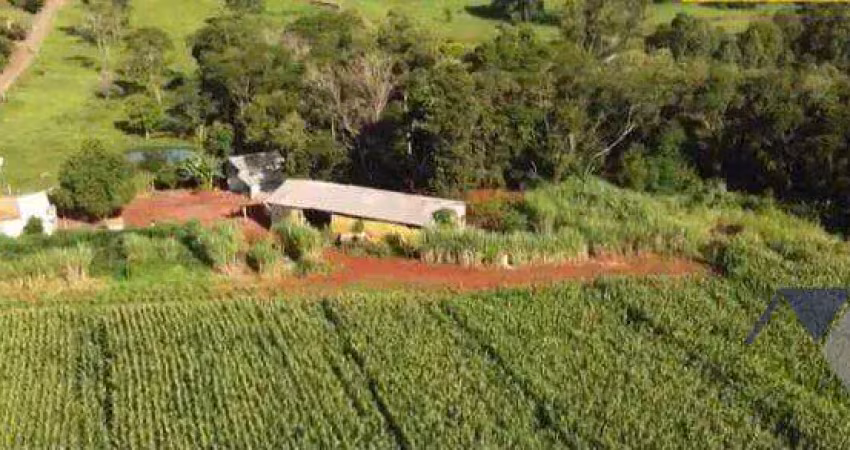 Sítio à venda, 42568 m² por r$ 1.000.000,00 - zona rural - lindoeste/pr