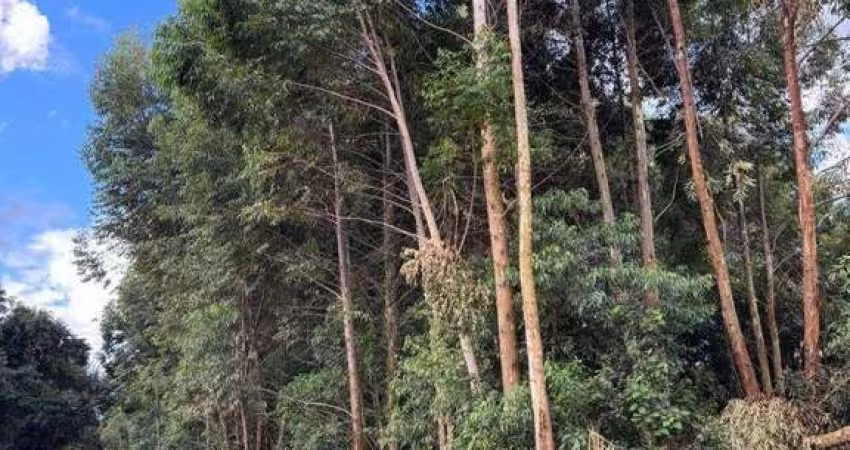 Área à venda, 21000 m² por R$ 1.500.000,00 - Rural - Cascavel/PR