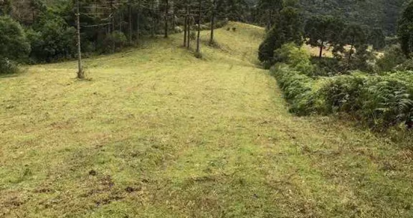 Refúgio natural em urubici – 2 hectares de pura beleza na serra catarinense