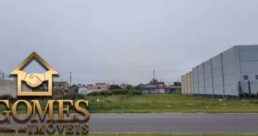 DOIS LOTES EM AV BEM LOCALIZADO IDEAL PARA INVESTIMENTO