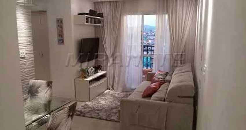 Apartamento de 56m² com 2 quartos em Vila Medeiros