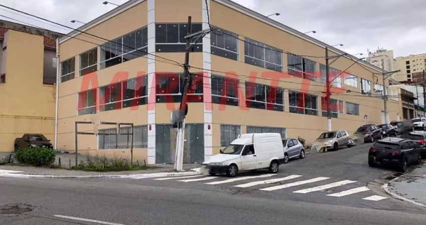 Galpao de 1040m² com 3 quartos em Santana