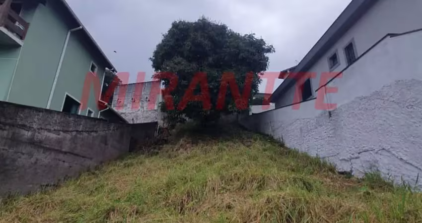 Terreno à venda na Rua Messina, Parque Palmas do Tremembé, São Paulo