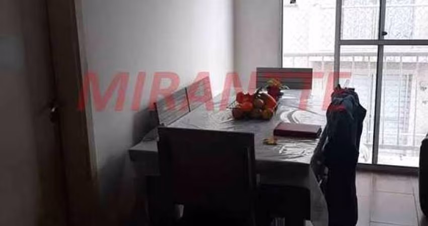 Apartamento de 79m² com 3 quartos em Vila Amalia
