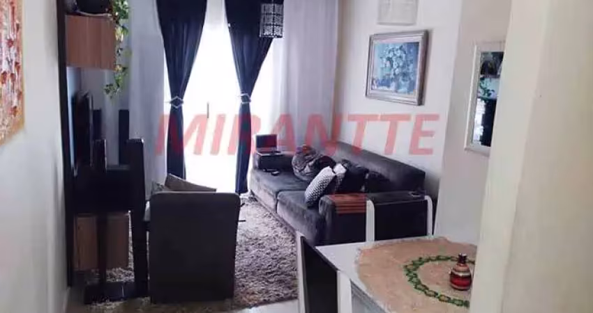 Cond. fechado com 2 quartos em Vila Amalia