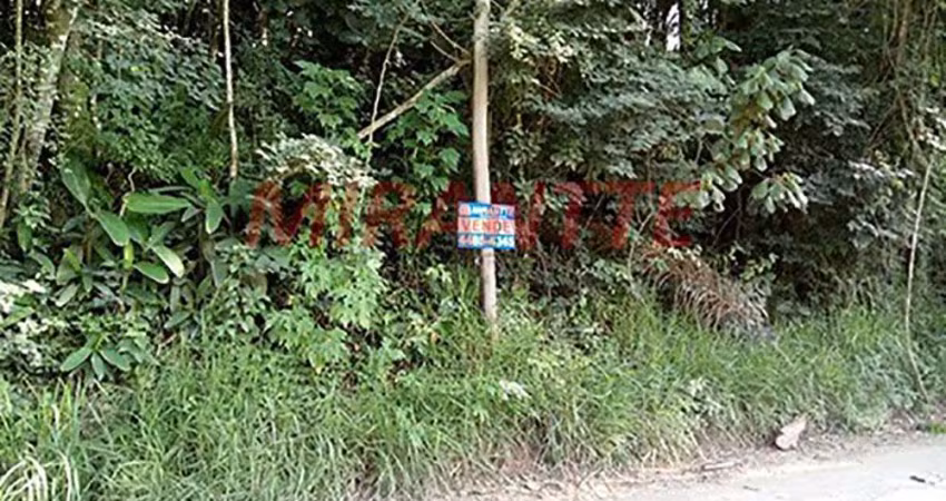 Terreno à venda na Estrada do Apolinário, Serra da Cantareira, São Paulo