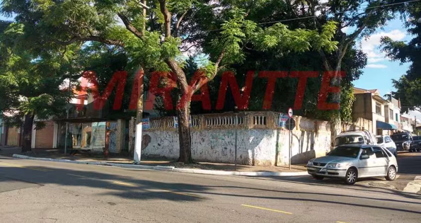 Terreno à venda na Rua Caçador, Vila Guilherme, São Paulo
