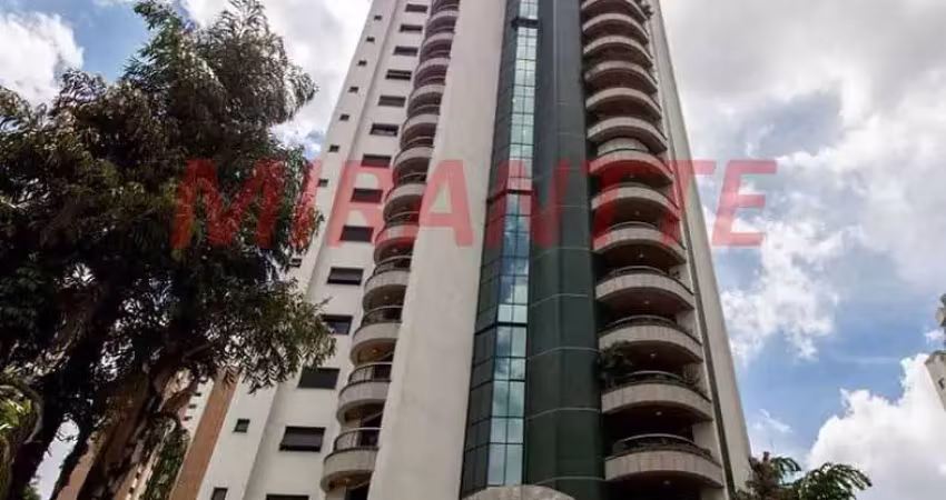 Apartamento de 463m² com 4 quartos em anália franco