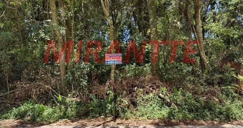 Terreno à venda na Rua Do Azulão X  Manoel Martins, Jardim Samambaia, Mairiporã