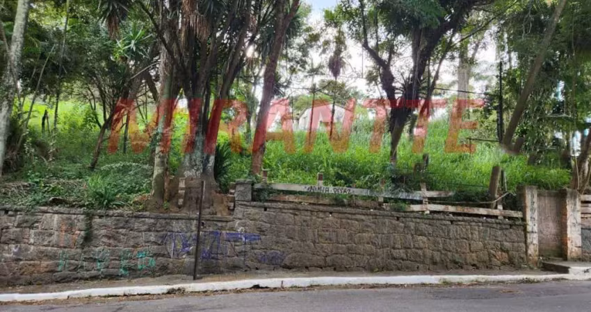Terreno à venda na Rua Luís Carlos Gentile de Laet, Horto Florestal, São Paulo