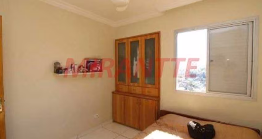 Apartamento de 50m² com 2 quartos em Santa Terezinha