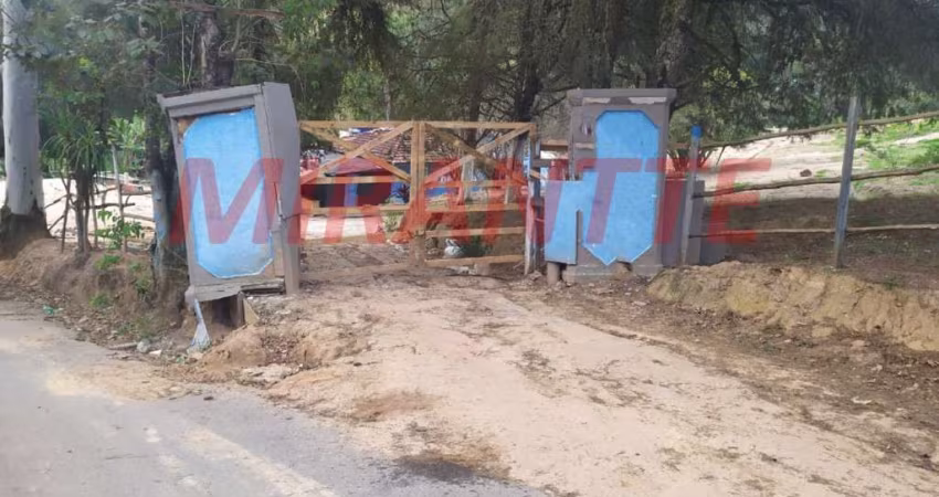 Terreno em SANTA IN