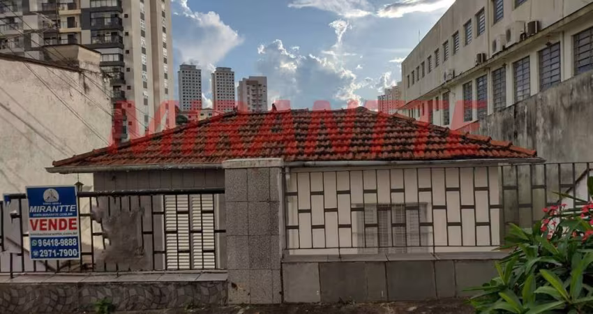 Terreno em Vila Ester