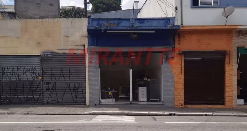 Terreno em Água Fria