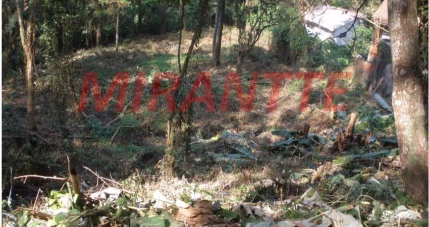 Terreno em Tucuruvi