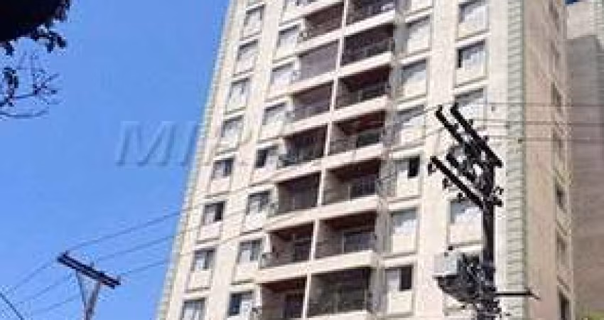 Apartamento de 76m² com 3 quartos em Parque Mandaqui