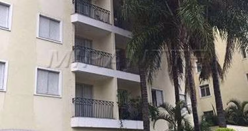 Apartamento de 53m² com 3 quartos em Lauzane Paulista
