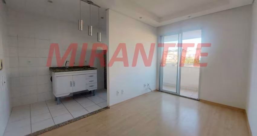 Apartamento de 47m² com 2 quartos em Vila Amelia