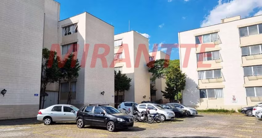 Apartamento de 50m² com 2 quartos em Lauzane Paulista