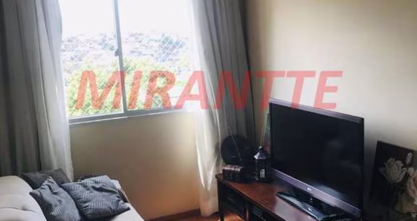 Apartamento de 52m² com 2 quartos em Lauzane Paulista