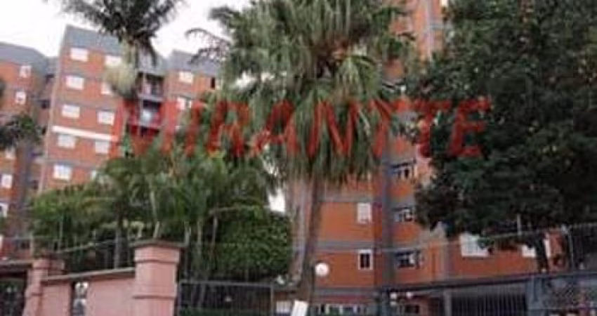 Apartamento de 70m² com 3 quartos em Vila Aurora