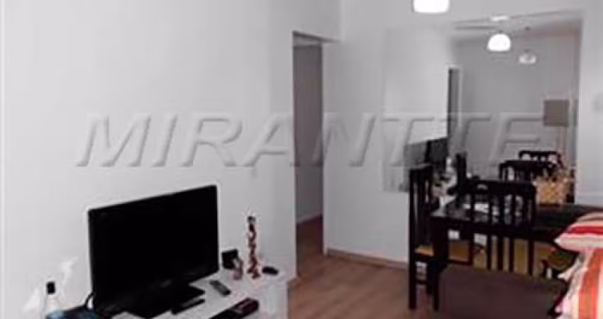 Apartamento de 46m² com 2 quartos em Vila Amalia
