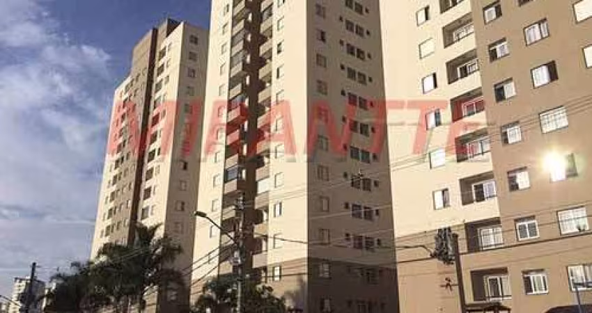 Apartamento de 50m² com 2 quartos em Imirim