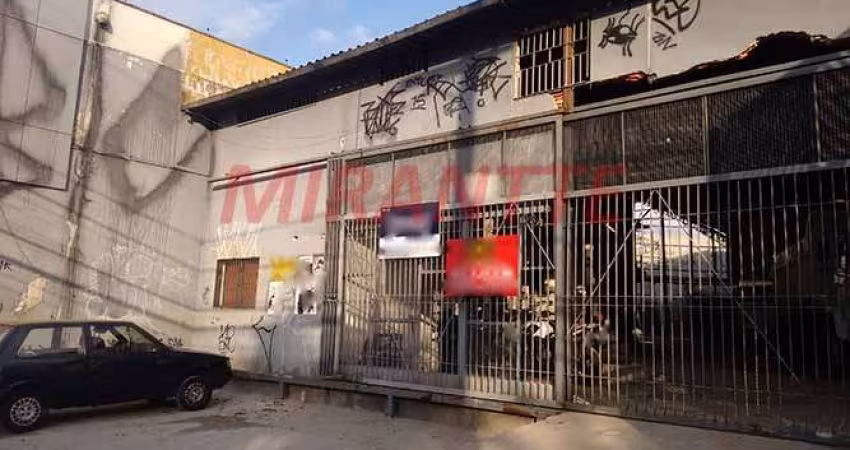 Galpao em Butantã